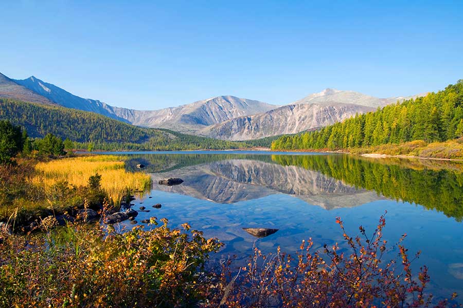 Into the Wild: Adventures in the Heart of Nature Post 2
